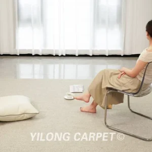 Light Gray Soft Plain Carpet Living Room handtufted Minimalist Style Area Rugs